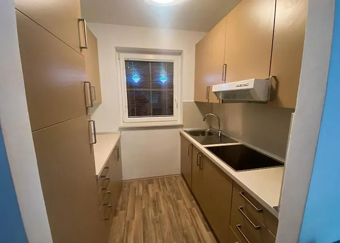 Apartma Oki - Terme Catez *